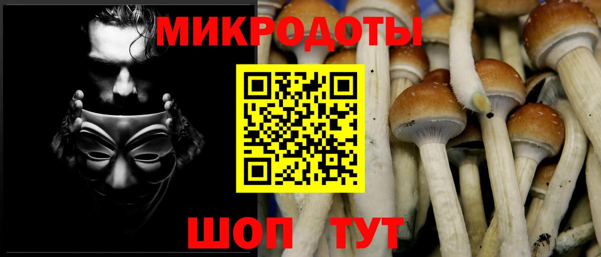 Галлюциногенные грибы MAGIC MUSHROOMS  Вход с VPN  Рубцовск 